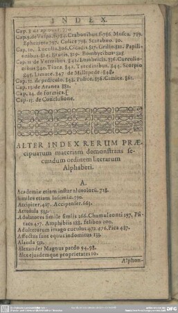 Alter Index Rerum Praecipuarum materiam demonstrans secundum ordinem literarum Alphabeti
