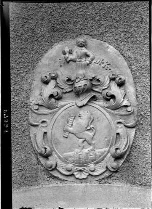 Hagnau Wappen vom Stammhaus von Steffelin