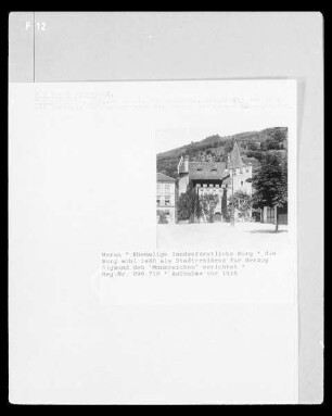 Ehemalige landesfürstliche Burg
