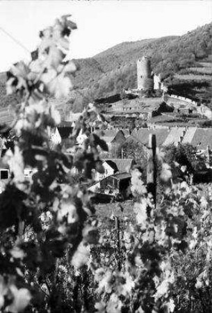 Kaysersberg: Schloss, Vordergrund Weinstöcke