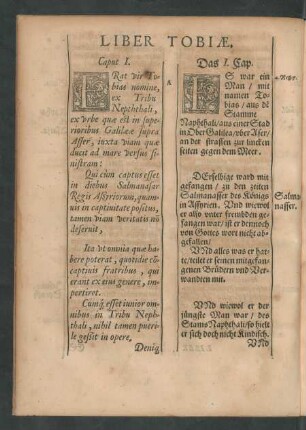 Liber Tobiae.