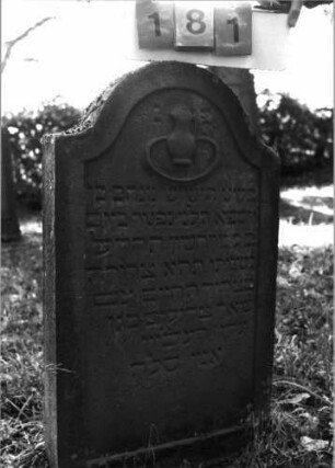 Grabstein 181 (Index: 99795720) Maße HxBxT: 96x54x10 cm Symbolik: (Leviten)Kanne: Grabstein 181