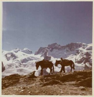 Blick auf das Breithorn