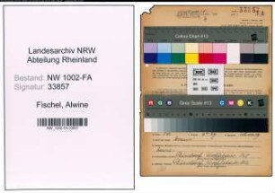Entnazifizierung Alwine Fischel, geb. 15.05.1903 (Haendlerin)