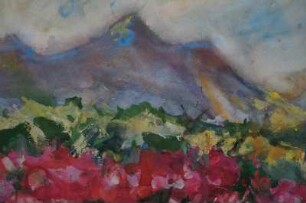 Rote Blumen vor Gebirgskamm