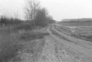 Aufbereitung des zukünftigen Gewerbegebiets "im Schlehert" an der Nordbeckenstraße durch Begrünungs- und Aufschüttungsmaßnahmen