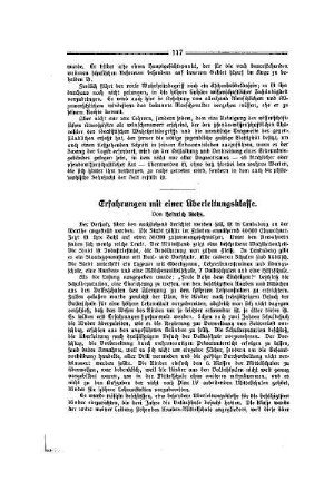 Erfahrungen mit einer Überleitungsklasse