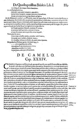 De Camelo. Cap. XXXIV.