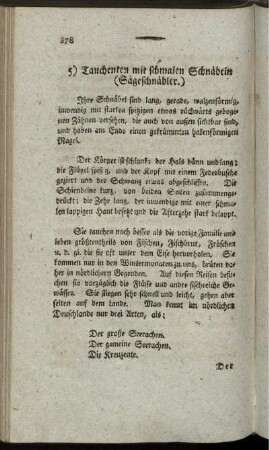 5) Tauchenten mit schmalen Schnäbeln