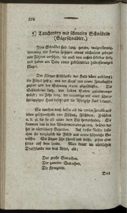 5) Tauchenten mit schmalen Schnäbeln