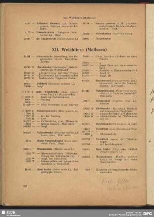 XII. Weichtiere (Mollusca)