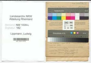 Entnazifizierung Ludwig Lippmann , geb. 02.07.1913 (Anstreicher)