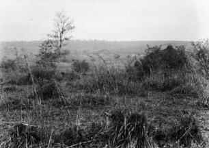 Siedlung : Im Bildhintergrund eine kleine Siedlung. Darum herum Waldgebiete, Kaffeeanpflanzungen und Weideland.