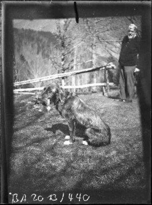 Jagdhund mit Beute