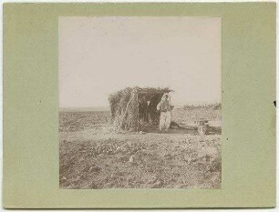 Wächterhütte im Melonenfeld bei helun bei Aleppo [Hütte]