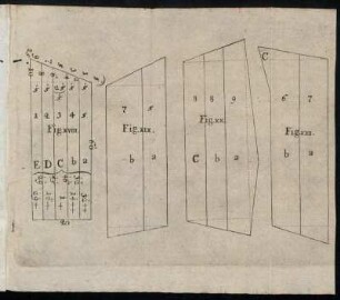 Fig. XVIII. - Fig. XXI.