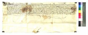 Daniel, Erzbischof zu Mainz, gibt dem Hans Konrad von Wellwart das halbe Achtel an Bönnigheim zu Lehen.
