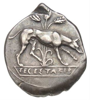 Segesta