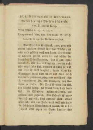 Bulinus variabilis Hartmann. Veänderliche Vielfraßschnecke