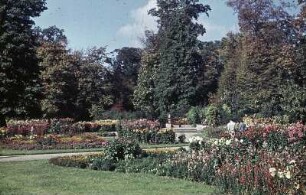 Dresden. Großer Garten. Dahliengarten
