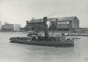 MATHIAS STINNES 18