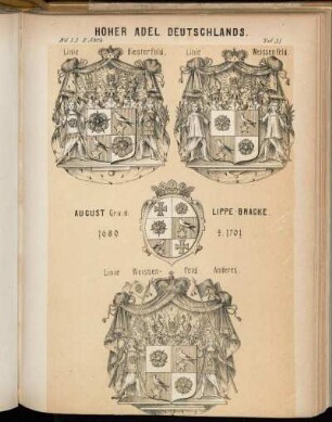 Taf. 35. Linie Biesterfeld. - Linie Weissenfeld. - August Gr. v. d. Lippe-Bracke. - Linie Weissenfeld. Anderes.