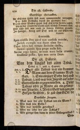 210-219, Die 48. - 49. Historie