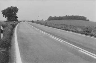 Straße bei Hochkirch-Wuischke