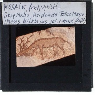 Mosaik am Berg Nebo