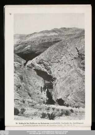 20. Schlucht bei Halboun im Kalamoun