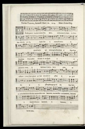 Tertius Tenor, Secundi Chori