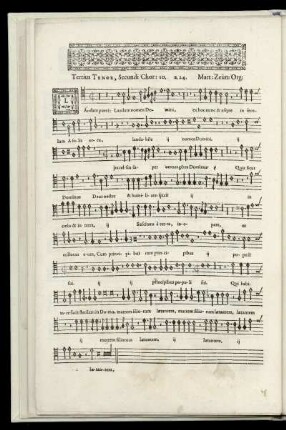 Tertius Tenor, Secundi Chori