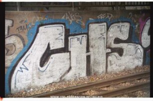 CHS