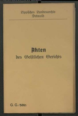 Ziegelmeister Heinrich Schöttler auf Nr. 8 zu Fromhausen gegen Witwe Charlotte Jungeblut zu Horn, Erfüllung eines Eheverlöbnisses betreffend