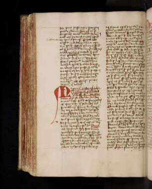 Thomasco Stragonicensis: Dominica IV adventus. (T4).