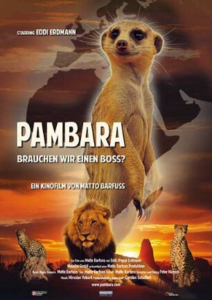 Pambara - Brauchen wir einen Boss?