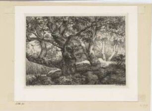 Zwei Eichenstämme, Blatt 7 der Folge "Landschaften, nach der Natur radiert"