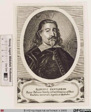Bildnis Alvise Contarini