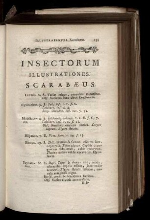 INSECTORUM ILLUSTRATIONES SCARABAEUS
