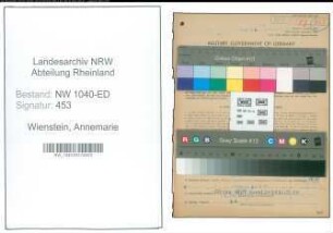 Entnazifizierung Annemarie Wienstein , geb. 08.08.1902 (Lehrerin)