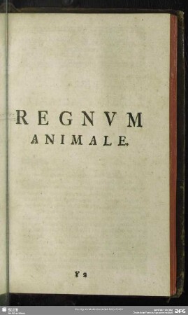 Regnum Animale