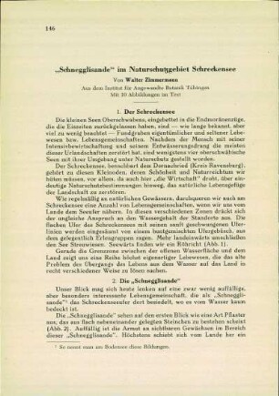 "Schneeglisande" im Naturschutzgebiet Schrenkensee