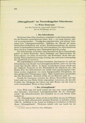 "Schneeglisande" im Naturschutzgebiet Schrenkensee