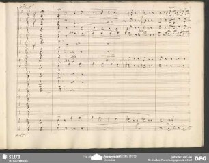 Cavatina: "Quando io suoi s'incontrano"