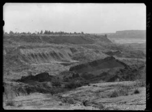 Kleinsaubernitz. Braunkohlentagebau Olba (Freia III). Beendigung (auflassen) der Gewinnungsarbeiten im Jahr 1932. Gestauchtes Braunkohlenflöz (Unterflöz)