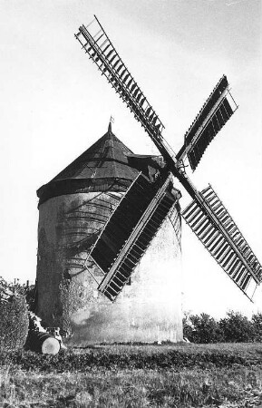 Hochkirch-Rodewitz. Erdholländer