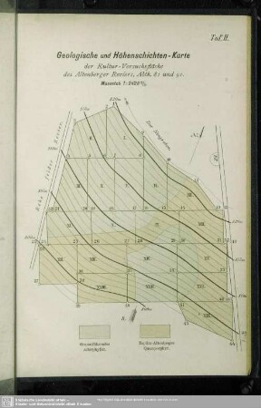 Taf. II. Geologische und Höhenschichten-Karte der Kultur-Versuchsfläche des Altenberger Reviers, Abth. 81 und 91