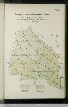 Taf. II. Geologische und Höhenschichten-Karte der Kultur-Versuchsfläche des Altenberger Reviers, Abth. 81 und 91
