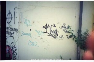 "CRAZY" | NYC | ReAL | NKC | "CHiLY CiA