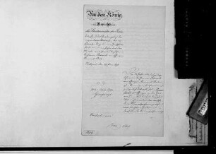 Gnadengesuche wegen eines Unzuchtsvergehens (1890-1895)